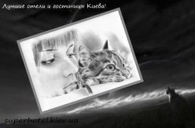 Приезжайте в Киев на Международную выставку породистых кошек.
