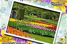 Весна — время любви, хорошего настроения и самых прекрасных цветов!