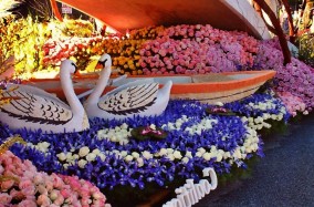 В любимом Киеве на Певческом поле состоится городская юбилейная выставка «Цветочный оберег». 21 августа все краски лета заиграют в одном месте!