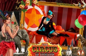 Настоящий звездопад европейских и украинских артистов в цирковой программе "В мире животных".