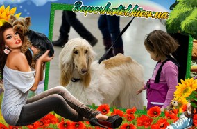 В Международном выставочном центре состоится замечательная выставка собак.