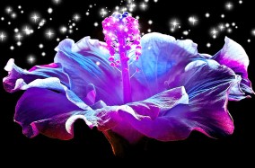 Окунитесь вместе с нами в прекрасный сказочный мир «Волшебный цветок доброты»