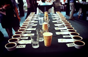Barista Box Events: Дегустація сортів еспресо і фільтр кави від Illusione C