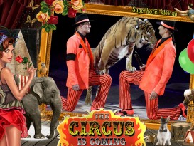 Настоящий звездопад европейских и украинских артистов в цирковой программе "В мире животных".