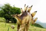 Эра динозавров — это то, чем можно восхищаться и нельзя забывать!